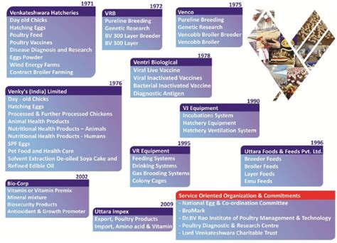 Outlier in Focus: Venkys – The Hen Which Lays Golden Eggs ...