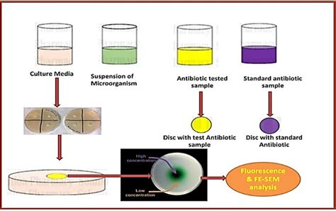 Agar Disc Diffusion Method 的图像结果
