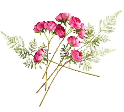 Image result for Spring Items