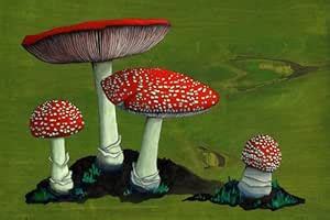 GreenBox Art + Culture Amanita Mushroom Family by Kate Halpin Canvas ...