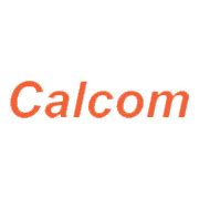 Calcom Vision Share Price Today - Calcom Vision Stock Price Live NSE/BSE