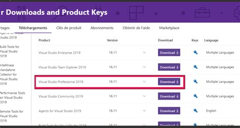 Image result for Visual Studio 2019 Professional Key