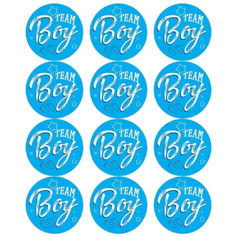120 Pcs 1 Gender Labels Gender Reveal Stickers Baby Shower | Desertcart ...