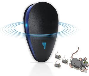 Shopsy Lawn And Gardening Online at Best Prices on Flipkart