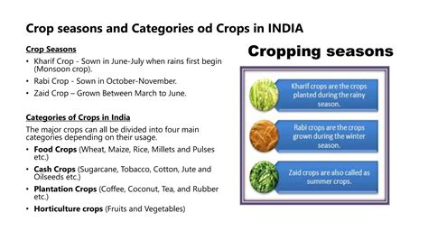 Agriculture System/Sector in INDIA | PPTX