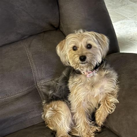 Charlie Rose - Back 18 weeks ago we got new batch of... | Facebook