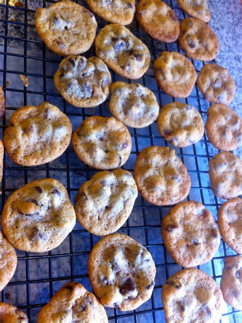 Quadruple Chocolate Chip Cookie Nibblers. A heady mix of white, milk ...