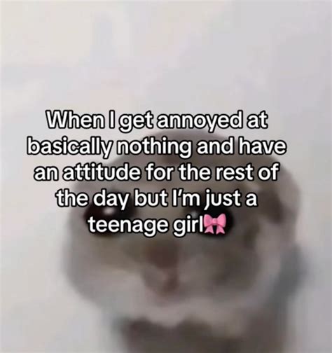 'I'm Just A Girl' Meme: Origins And Examples