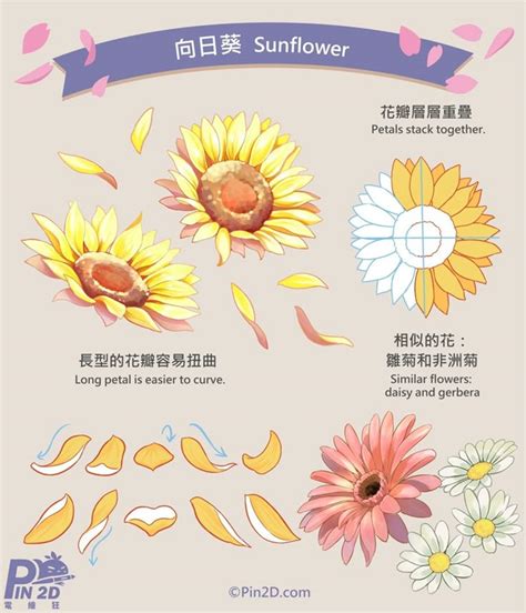 Image result for How to Draw Inflorescences