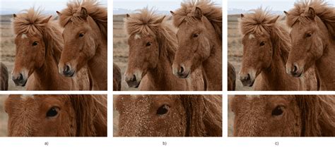 Image Vectorization – C# Examples – Aspose.SVG for .NET