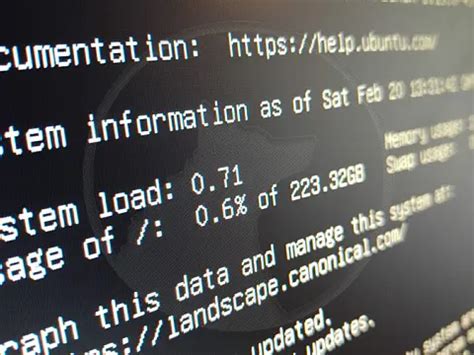 Downloading Linux 的图像结果