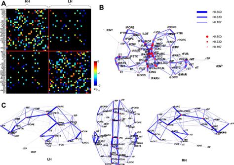 Image result for Connectivity Matrix