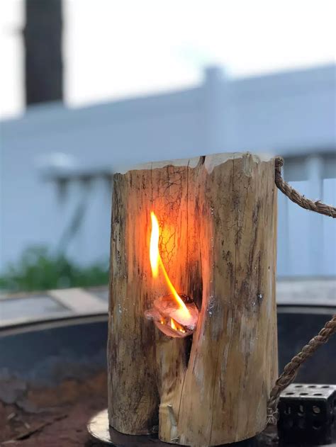 Image result for One Log Fire Log