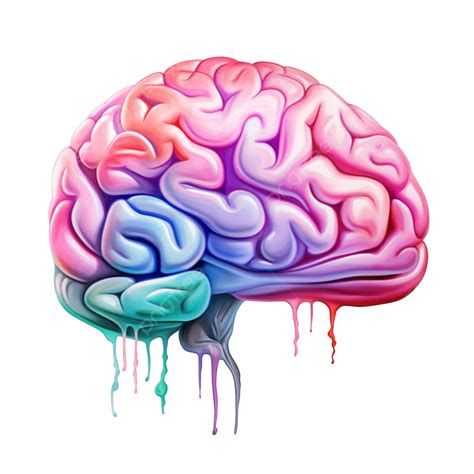Watercolor Brain Clip Art, Brain, Watercolor, Organs PNG Transparent ...