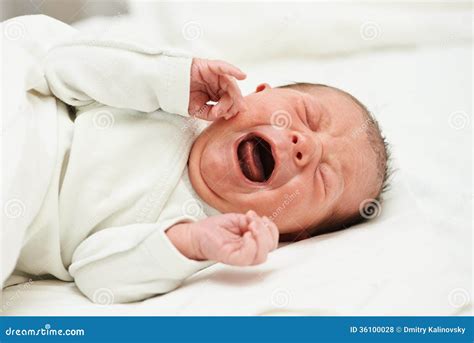 Screaming newborn baby stock photo. Image of happiness - 36100028