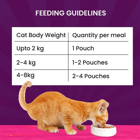 Goofy Tails Tuna & Anchovies Wet Cat & Kitten Food – GoofyTails