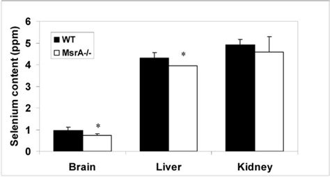 Selenium and the Methionine Sulfoxide Reductase System