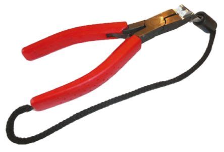 Image result for Name of Python Bracket