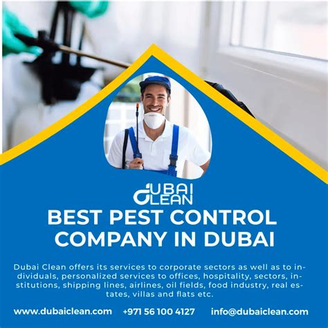 How Much Does Pest Control Cost in Dubai? DubaiClean Guide