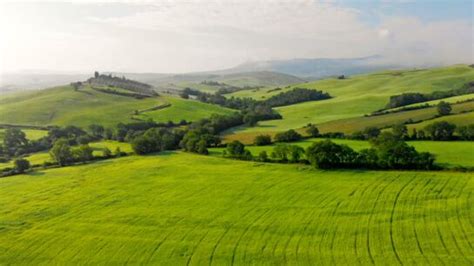 Yandex 的图像结果