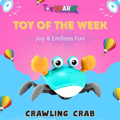 The Perfect Playtime Buddy for Endless Fun – Toy Bharat