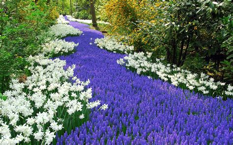 Spring Box Water Development 的图像结果