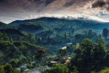 4 Days Colombo and Nuwara Eliya Forest Tour Package | Colombo, Nuwara ...
