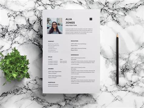 Image result for Virtual Assistant CV Template