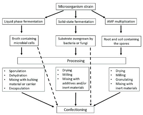 Biotech Process 的图像结果