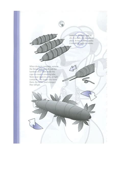 Joint Rolling Tutorial 的图像结果