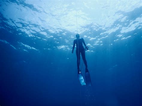 Swimming in the Ocean 的图像结果