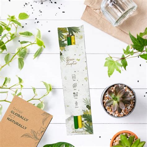 Seed Pens in Seed Paper Sleeve Pack of 20 - Eco-Friendly Giveaway Set ...