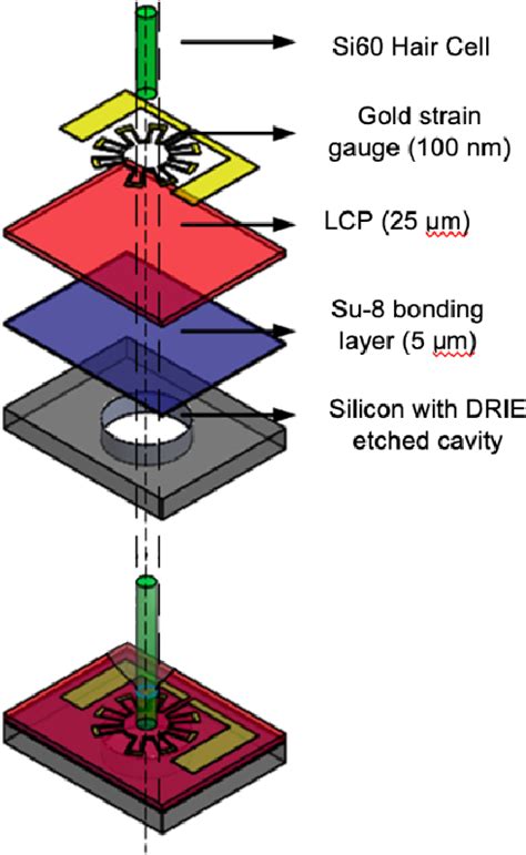 Image result for Lateral Line Sensor