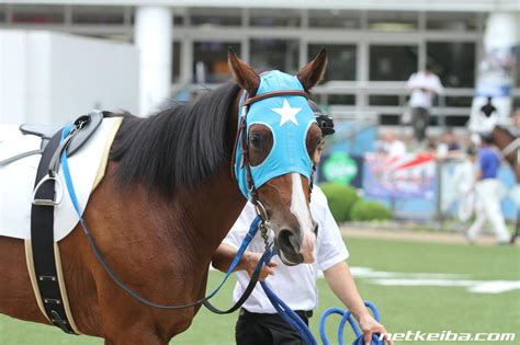 プロジェクション (Projection) | 競走馬データ - netkeiba