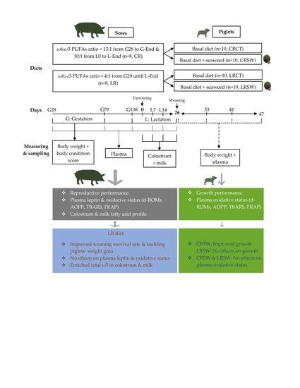 Effects of Low ω6:ω3 Ratio in Sow Diet and Seaweed Supplement in Piglet ...