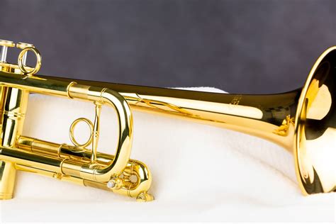 Image result for Trumpet
