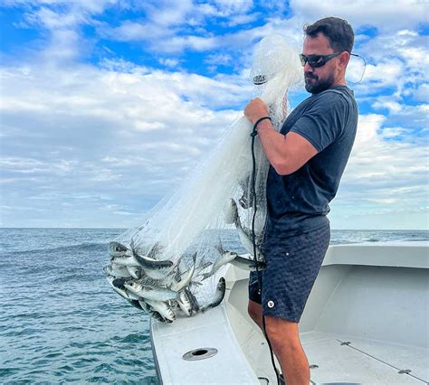 Image result for Cast Net Mullet Run