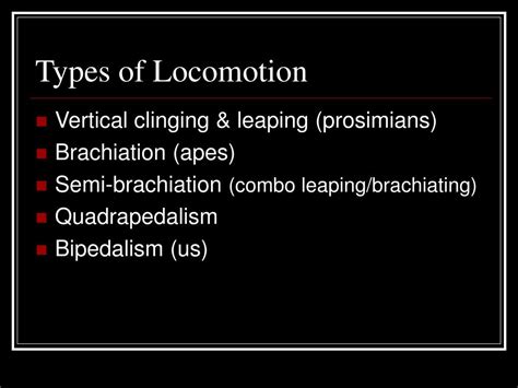 Image result for Locomotor Patterns in Primates