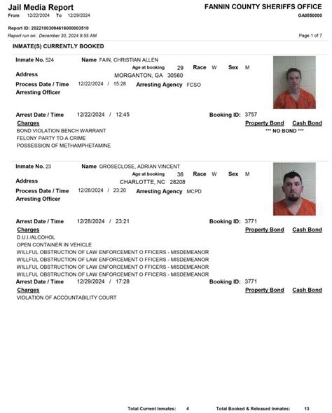 Fannin County Sheriff's Office Arrest Report 12/22 - 12/29/2024 ...