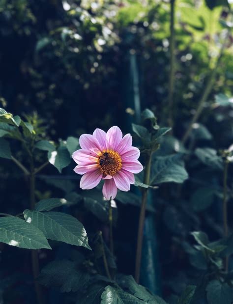 Indian Handicraft and Sustainability – handbloom