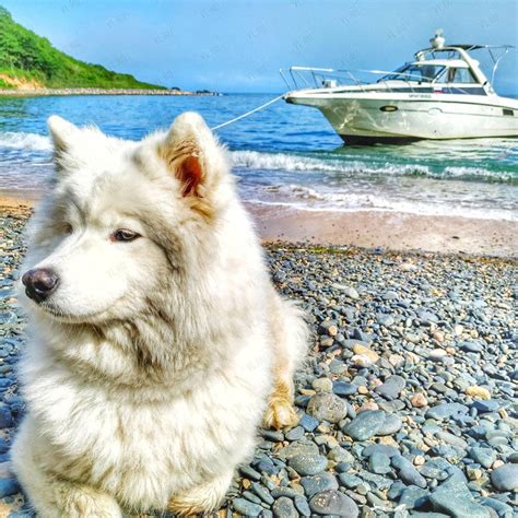 Туры с Морской Собакой, турфирма: отзывы, адреса, телефоны, цены, фото ...