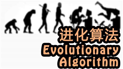 Evolutionary Algorithm 的图像结果