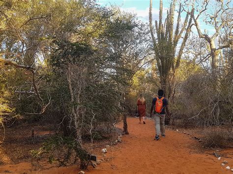 On the trail of lemurs in Madagascar