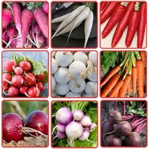 THE INDIAN BEEJ - Root Vegetable seeds| 9 Varieties |Home Garden ...