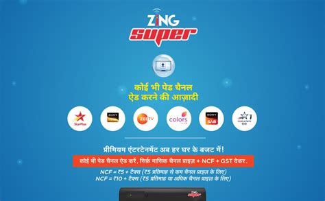 DishTV ZING | HD Set Top Box | 175 + Channels & Services | Nonstop ...