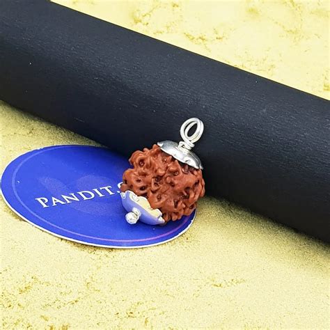 Rudraksha Online Store: Buy Original Rudraksha Products - Pandit.com