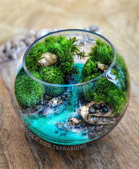 Florida Springs Terrarium with Live Moss