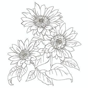 Image result for Copy Paste Problem