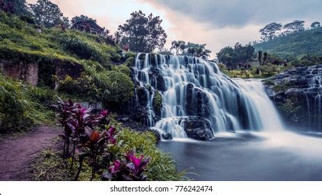 Image result for Java Island Capital