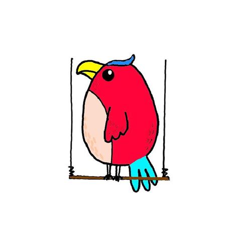 Image result for Simple Parrot Cartoon Drawing